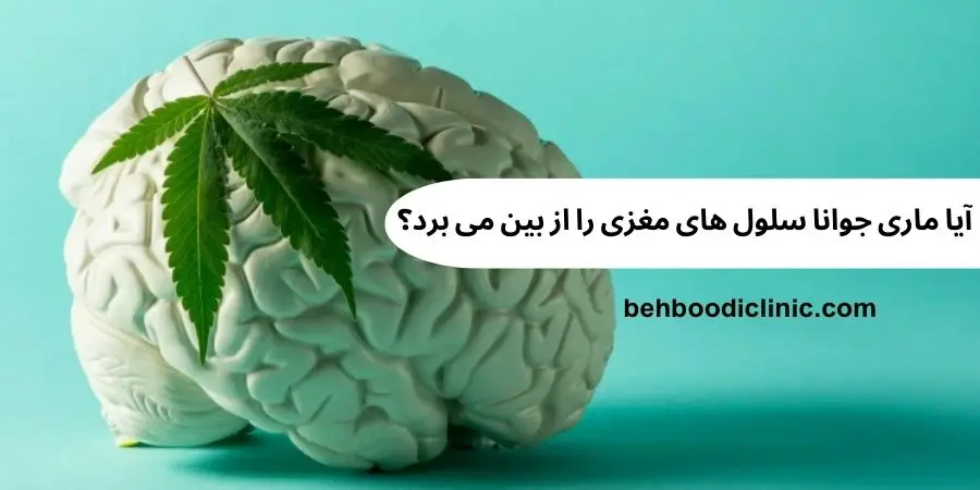 ایا ماری جوانا سلول های مغزی را از بین میبرد