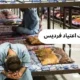 بهترین کمپ ترک اعتیاد فردیس