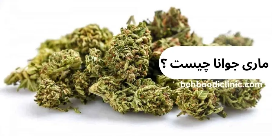 ماری جوانا چیست /مرکز ترک اعتیاد بهبودی کرج