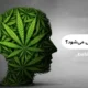 آیا گل باعث افسردگی می_شود؟
